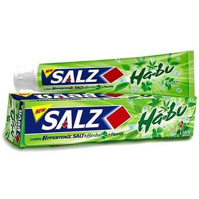 Salz ToothPaste Habu 160gm image