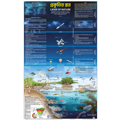 Sariyagraph Layer of Nature image