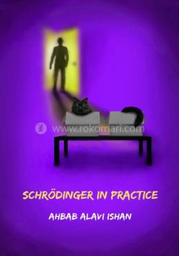 Schrodinger in Practice image