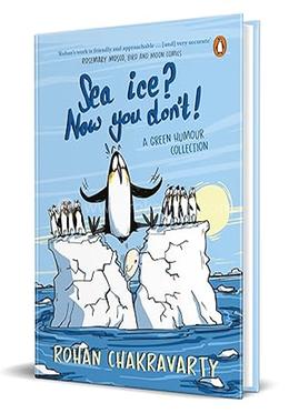 Sea Ice? Now You Don't ! image