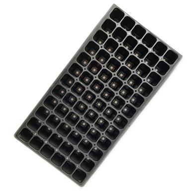 Seeding tray hole (72 Big cell) image