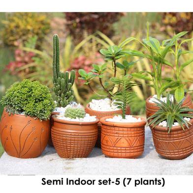 Brikkho Hat Semi Indoor set - 5 (Kamini Bonsai, Ball Cactus, China Bot, Fairy Castle Cactus, Lucky Bambo, Star Cactus, Devil's Backbone) image