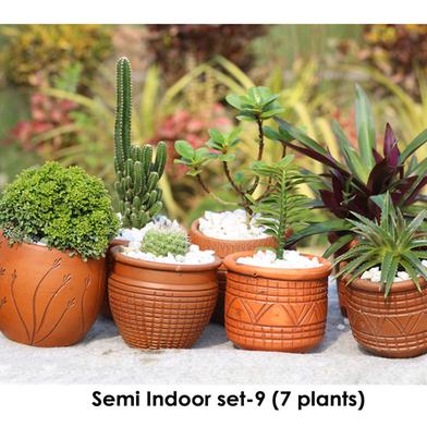 Brikkho Hat Semi Indoor set - 9 (Boat Lily, Ball Cactus, China Bot, Fairy Castle Cactus, Kamini Bonsai, Star Cactus, Devil's Backbone) image