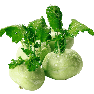 Shalgom Seeds image