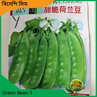 Sim Seeds- Green Bean 1 image