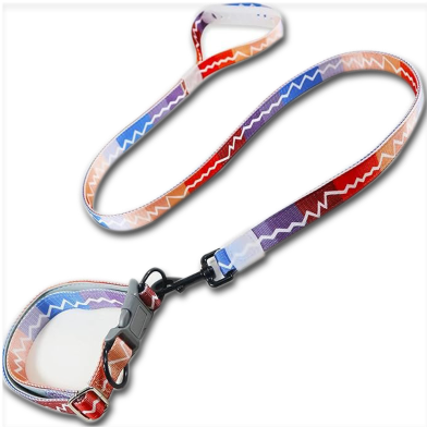Small and Medium Breed Dog Collar and Leash Set image