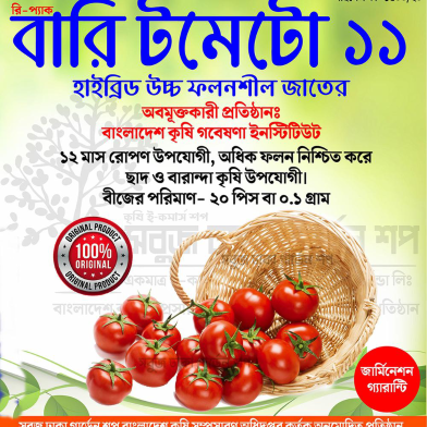 Sobuj Dhaka Garden All Season BARI-11 Tomato Seeds Re-Pack image