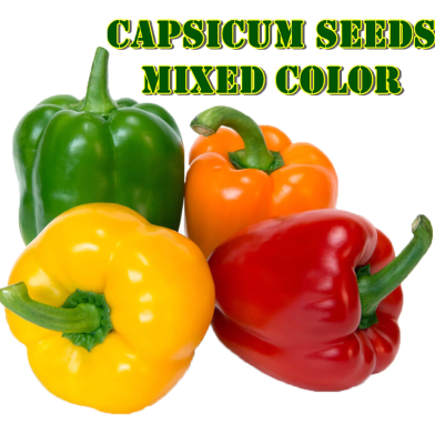 Capsicum Seed Mixed Color image