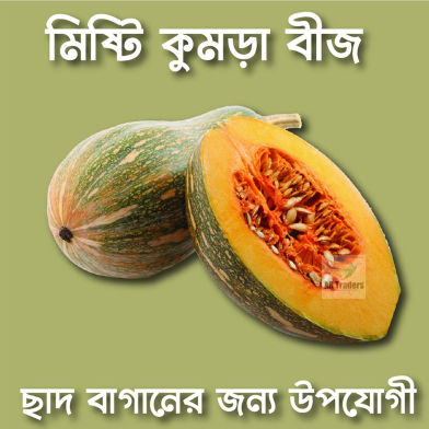 Hybrid Pumpkin Seeds image