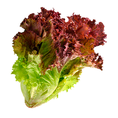 Sobuj Dhaka Garden Red Lettuce Seeds 0.1gm Re-Pack (China) image