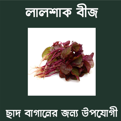 Lal Shak Seeds image