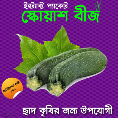 Squash Seeds Intact Packet 0.1gm image