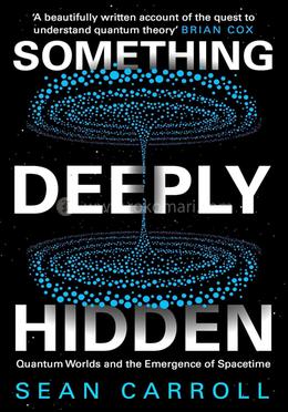 Something Deeply Hidden: Quantum Worlds and The Emergence of Spacetime image