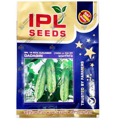 Special 12 Pata Sosha Dadagiri Intact Pack - 10gm image