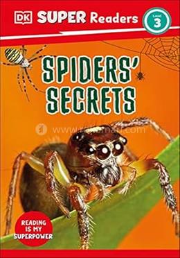 Spiders' Secrets : Level 3 image