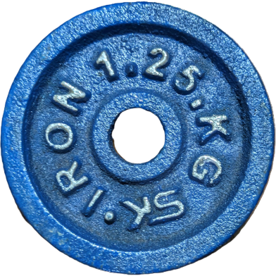 Sports And Fitness 1.25kg Dumbbell Plate 1 Pcs image