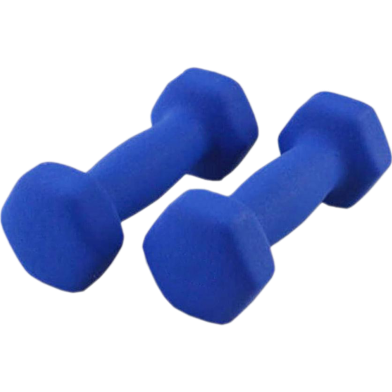 Sports House PVC Dumbbell - 2 kg - Blue image