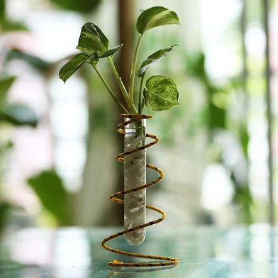 Spring Metal Stand With Test Tube Golden Pothos (Money Plant) image