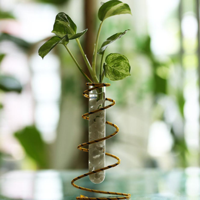 Spring Metal Stand With Test Tube Manjula Pothos image