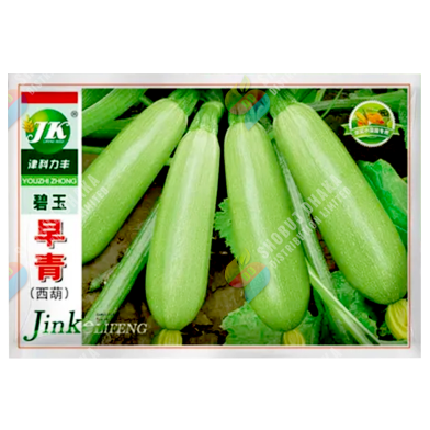 Squash Seeds China Re-Pack - 5pcs image