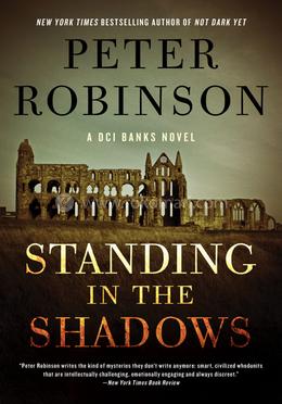 Standing in the Shadows: A Novel image