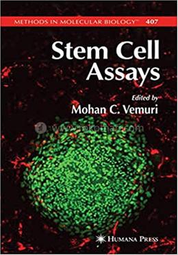 Stem Cell Assays image