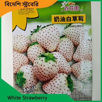 Strawberry Seeds- White Strawberry image