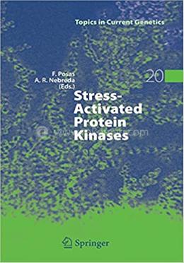 Stress-Activated Protein Kinases image