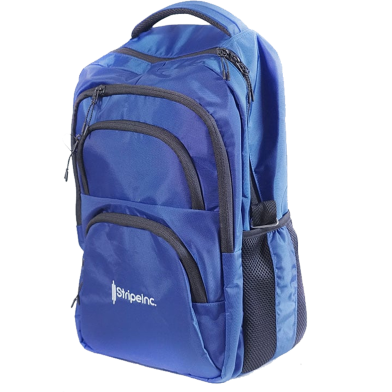 Stripelnc Exclusive And Premium Quality School Bag Blue image