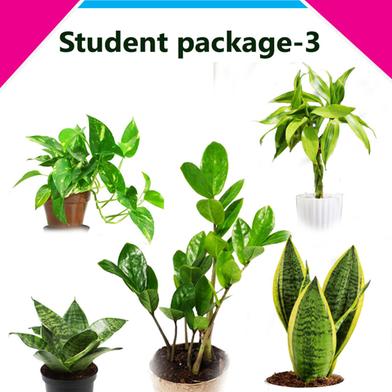 Brikkho Hat Student Package-3 image