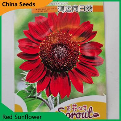 Sunflower Seeds image