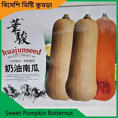 Sweet Kumra Seeds- Sweet Pumpkin Butternut image