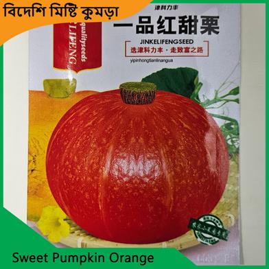 Sweet Kumra Seeds- Sweet Pumpkin Orange 1 image