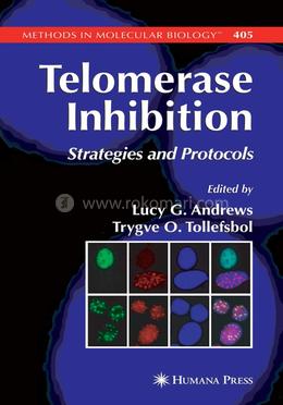 Telomerase Inhibition image