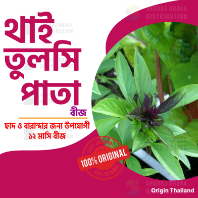 Thai Basil (Tulsi) Seeds – 10 Pcs image