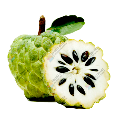 Thai Hybrid Giant Sugar Apple Seeds Re-Pack - 5pcs image