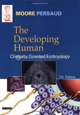 The Developing Human image