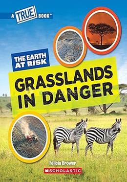 The Earth at Risk: Grasslands in Danger