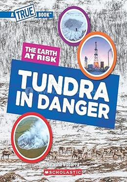 The Earth at Risk: Tundra in Danger