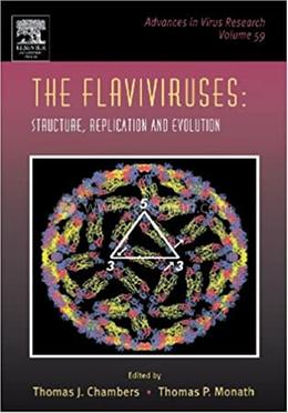 The Flaviviruses image