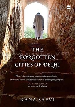 The Forgotten Cities of Delhi: Book Two in the Where Stones Speak trilogy image