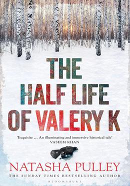 The Half Life of Valery K image