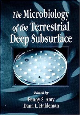 The Microbiology of the Terrestrial Deep Subsurface image