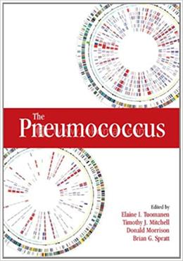 The Pneumococcus image