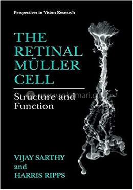 The Retinal Muller Cell image