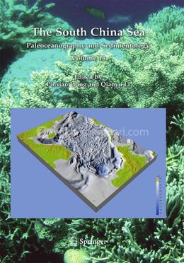 The South China Sea: Paleoceanography and Sedimentology: 13 (Developments in Paleoenvironmental Research) image