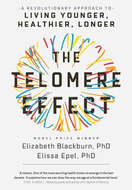 The Telomere Effect image