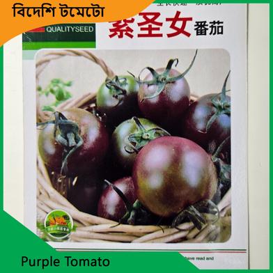 Tomato Seeds- Purple Tomato image