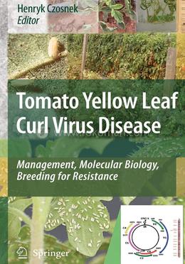 Tomato Yellow Leaf Curl Virus Disease image