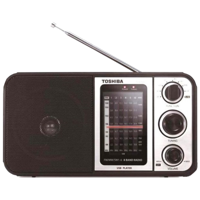 Toshiba TY-HRU30 Multi Band Radio with USB image